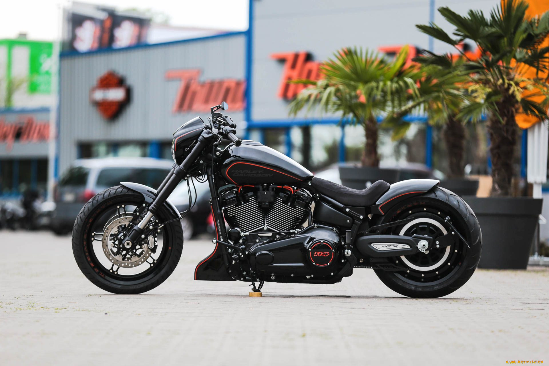 , , harley-davidson, , 